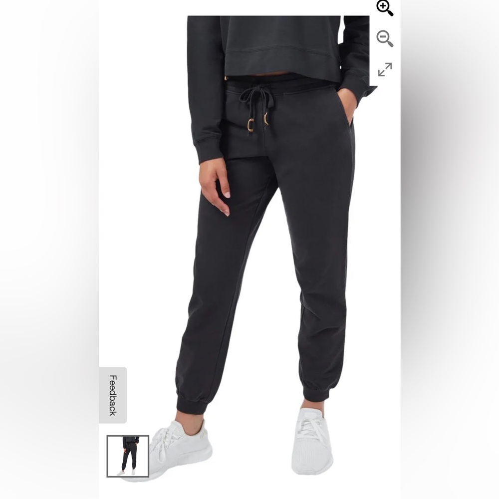EUC | Tentree | French Terry Sweatpants | Grey